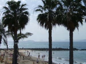 Photo of Playa Flamingo 14