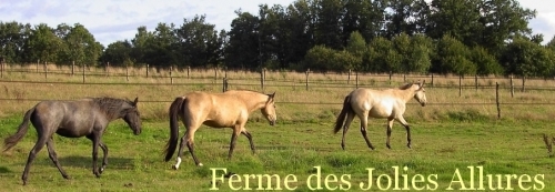 Photo of Ferme des Jolies Allures