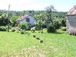 Photo of Le Tilleul