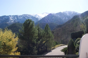 Photo of Bel Horizon