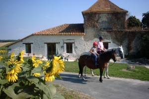 Photo of Limerac