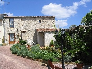 Photo of Les Fleurs - LYS
