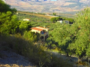 Photo of 