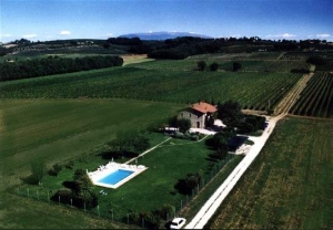 Photo of I MORI GELSI - Fattoria Spinola