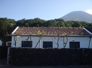 Photo of Retreat of Goats, Pico Island - Azores