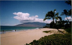 Photo of Nice Maui Condo, Steps to #1 Beach! Slp.4, Xtras, 1 BR, $80+